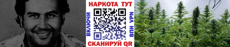 Магазины продажи наркотиков Белая Холуница Alpha PVP Канабис МЕФ Гашиш АМФ COCAIN