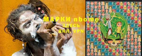 крисы Баксан