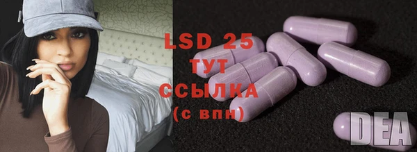 крисы Баксан