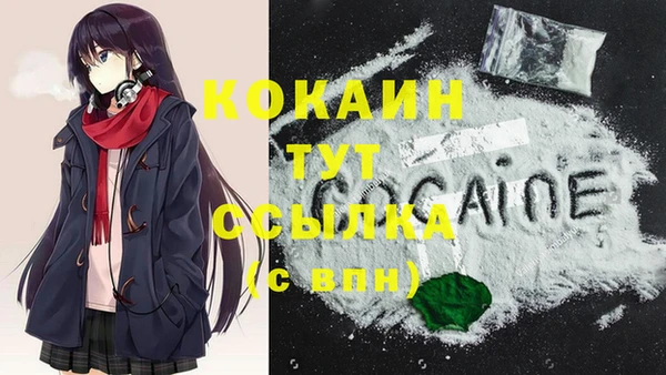 крисы Баксан
