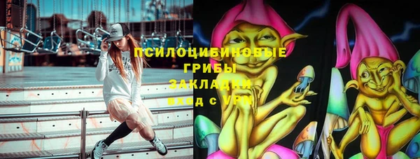 бошки Покачи