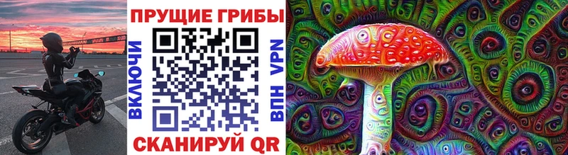 Галлюциногенные грибы Psilocybine cubensis  Белая Холуница 